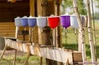 База отдыха «Добростан»: аренда беседок в Житомире - <ro>Изображение</ro><ru>Изображение</ru> #3, <ru>Объявление</ru> #1442935