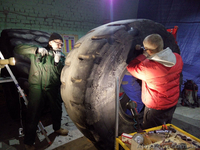 Шины восстановленные шины, продажа б/у шин. новые шины и камеры  - <ro>Изображение</ro><ru>Изображение</ru> #1, <ru>Объявление</ru> #1510998