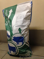 Заменитель цельного молока для телят, ЗЦМ для телят Житомир  - <ro>Изображение</ro><ru>Изображение</ru> #3, <ru>Объявление</ru> #1533407