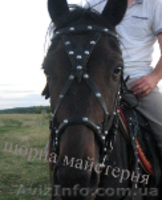 Вуздечки кінні шкіряні - <ro>Изображение</ro><ru>Изображение</ru> #3, <ru>Объявление</ru> #1536757
