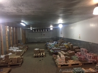 Сдам в оренду холодильні склади ( 0-+5 С) Склади та офіси. - <ro>Изображение</ro><ru>Изображение</ru> #4, <ru>Объявление</ru> #1604731