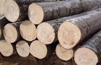 Купим кругляк осины А - <ro>Изображение</ro><ru>Изображение</ru> #1, <ru>Объявление</ru> #1678711