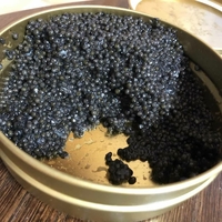Икра стерляди. Икра осетровая. Тушки осетра. - <ro>Изображение</ro><ru>Изображение</ru> #1, <ru>Объявление</ru> #1711513