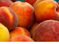 Саджанці груші, яблук, абрикосів, персиків - <ro>Изображение</ro><ru>Изображение</ru> #4, <ru>Объявление</ru> #1729711