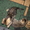 Продажа котёнка \"Скотиш страйк\" - <ro>Изображение</ro><ru>Изображение</ru> #3, <ru>Объявление</ru> #88444