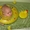 Продам новый надувной круг-воротник на шею для купания младенцев - <ro>Изображение</ro><ru>Изображение</ru> #1, <ru>Объявление</ru> #125775