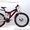 Продам  подростковый  велосипед Житомир - <ro>Изображение</ro><ru>Изображение</ru> #3, <ru>Объявление</ru> #208101
