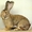 Продам кролі великої та середньої породи - <ro>Изображение</ro><ru>Изображение</ru> #2, <ru>Объявление</ru> #279667