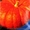 семена тыквы крупноплодной и на кашу - <ro>Изображение</ro><ru>Изображение</ru> #3, <ru>Объявление</ru> #356816