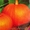 семена тыквы крупноплодной и на кашу - <ro>Изображение</ro><ru>Изображение</ru> #5, <ru>Объявление</ru> #356816