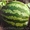 семена тыквы крупноплодной и на кашу - <ro>Изображение</ro><ru>Изображение</ru> #6, <ru>Объявление</ru> #356816