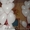  Нанесение изображения на шариках в Житомире - <ro>Изображение</ro><ru>Изображение</ru> #4, <ru>Объявление</ru> #348126