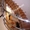 Заказать монолитные лестницы в Житомире - <ro>Изображение</ro><ru>Изображение</ru> #2, <ru>Объявление</ru> #419373