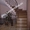 Лестницы бетонные в Житомире - <ro>Изображение</ro><ru>Изображение</ru> #1, <ru>Объявление</ru> #418748