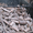 Дрова дубовые (обапол, обрезки, рейка) Житомир - <ro>Изображение</ro><ru>Изображение</ru> #3, <ru>Объявление</ru> #600430