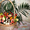 Изготовление праздничных фруктовых корзин с элементами карвинга - <ro>Изображение</ro><ru>Изображение</ru> #2, <ru>Объявление</ru> #565060