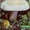 мицелий грибов порошковый - <ro>Изображение</ro><ru>Изображение</ru> #4, <ru>Объявление</ru> #462072