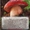 мицелий грибов зерновой биологически высушенный - <ro>Изображение</ro><ru>Изображение</ru> #1, <ru>Объявление</ru> #330210