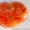 Предлагаю семена томатов             - <ro>Изображение</ro><ru>Изображение</ru> #2, <ru>Объявление</ru> #785165