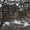 Продам дачу (садовый дом) в соколовском массиве - <ro>Изображение</ro><ru>Изображение</ru> #3, <ru>Объявление</ru> #884116