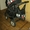 Детская коляска Kajtex Matrix (2в1)  - <ro>Изображение</ro><ru>Изображение</ru> #2, <ru>Объявление</ru> #884265