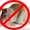 Истребление мышей и крыс в г. Житомир #949841