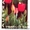 марки Австралии - флора - <ro>Изображение</ro><ru>Изображение</ru> #9, <ru>Объявление</ru> #986499