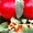 Семена среднерослых томатов высота 80-130 см - <ro>Изображение</ro><ru>Изображение</ru> #1, <ru>Объявление</ru> #1008177