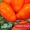 семена высокорослых томатов - <ro>Изображение</ro><ru>Изображение</ru> #4, <ru>Объявление</ru> #1011469