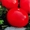 Семена низкорослых томатов - <ro>Изображение</ro><ru>Изображение</ru> #6, <ru>Объявление</ru> #356443