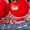 Семена среднерослых томатов высота 80-130 см - <ro>Изображение</ro><ru>Изображение</ru> #2, <ru>Объявление</ru> #1008177