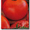 Семена низкорослых томатов - <ro>Изображение</ro><ru>Изображение</ru> #1, <ru>Объявление</ru> #356443