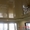 Бесшовные натяжные потолки Житомир - <ro>Изображение</ro><ru>Изображение</ru> #1, <ru>Объявление</ru> #1265419