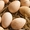 Продам інкубаційне качине яйце #1366529