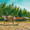 База отдыха «Добростан»: аренда беседок в Житомире - <ro>Изображение</ro><ru>Изображение</ru> #5, <ru>Объявление</ru> #1442935