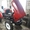 Міні трактор XINGTAI XT244 (Сінтай) доставка по Україні! #1559082