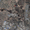 Продаж земельної ділянки під житлову забудову в селі Оліївка - <ro>Изображение</ro><ru>Изображение</ru> #2, <ru>Объявление</ru> #1698751