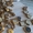 Купим в Житомире:Старые Монеты,Награды,Значки,Бумажные Деньги,Часы,Иконы и Др. - <ro>Изображение</ro><ru>Изображение</ru> #6, <ru>Объявление</ru> #1703383