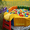 мини аттракционы батуты для маленьких детей на прокат - <ro>Изображение</ro><ru>Изображение</ru> #6, <ru>Объявление</ru> #136289