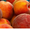 Саджанці груші, яблук, абрикосів, персиків - <ro>Изображение</ro><ru>Изображение</ru> #4, <ru>Объявление</ru> #1729711