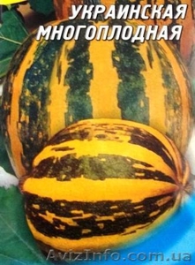 семена тыквы крупноплодной и на кашу - <ro>Изображение</ro><ru>Изображение</ru> #4, <ru>Объявление</ru> #356816