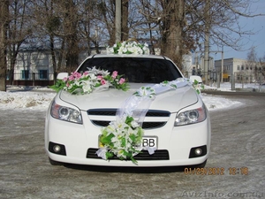 авто для свадеб  - <ro>Изображение</ro><ru>Изображение</ru> #2, <ru>Объявление</ru> #517622