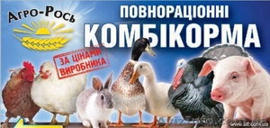 Комбикорма,суточные цыплята - <ro>Изображение</ro><ru>Изображение</ru> #1, <ru>Объявление</ru> #521270