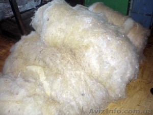 Шерсть овечья в Житомирской области - <ro>Изображение</ro><ru>Изображение</ru> #1, <ru>Объявление</ru> #675022
