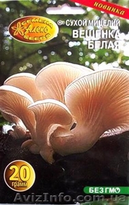 мицелий грибов вешенки порошковый - <ro>Изображение</ro><ru>Изображение</ru> #1, <ru>Объявление</ru> #301875