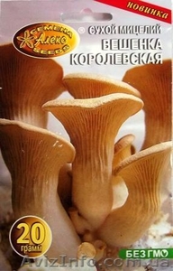 мицелий грибов вешенки порошковый - <ro>Изображение</ro><ru>Изображение</ru> #5, <ru>Объявление</ru> #301875
