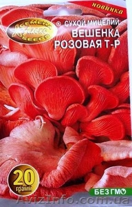 мицелий грибов вешенки порошковый - <ro>Изображение</ro><ru>Изображение</ru> #6, <ru>Объявление</ru> #301875