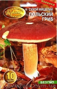 мицелий грибов порошковый - <ro>Изображение</ro><ru>Изображение</ru> #2, <ru>Объявление</ru> #462072