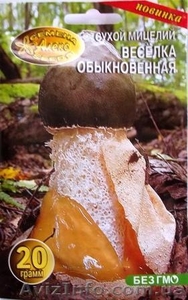 мицелий грибов порошковый - <ro>Изображение</ro><ru>Изображение</ru> #3, <ru>Объявление</ru> #462072