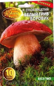 мицелий грибов порошковый - <ro>Изображение</ro><ru>Изображение</ru> #1, <ru>Объявление</ru> #462072